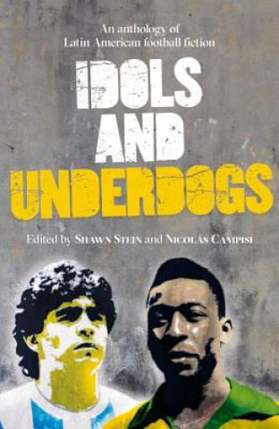 Kniha Idols and Underdogs Shawn Stein
