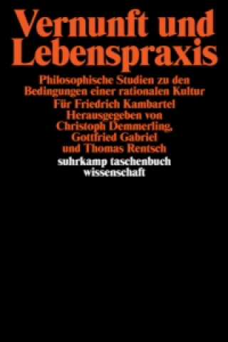 Book Vernunft und Lebenspraxis Christoph Demmerling