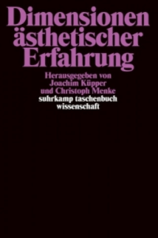 Knjiga Dimensionen ästhetischer Erfahrung Joachim Küpper