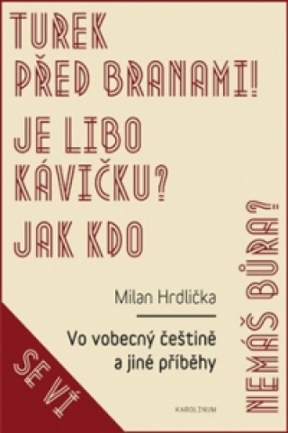 Buch Vo vobecný češtině a jiné příběhy Milan Hrdlička