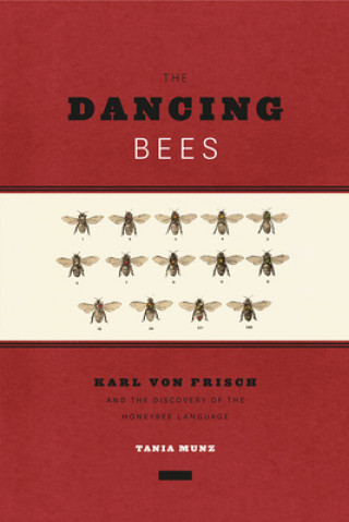 Carte Dancing Bees Tania Munz