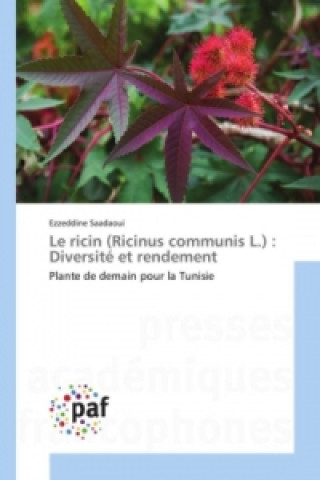 Książka Le ricin (Ricinus communis L.) : Diversité et rendement Ezzeddine Saadaoui