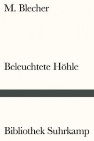 Kniha Beleuchtete Höhle M. Blecher
