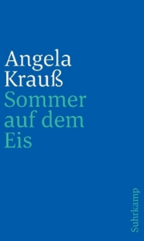 Könyv Sommer auf dem Eis Angela Krauß