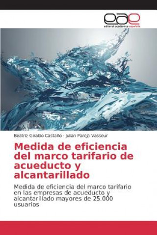 Книга Medida de eficiencia del marco tarifario de acueducto y alcantarillado Giraldo Castano Beatriz