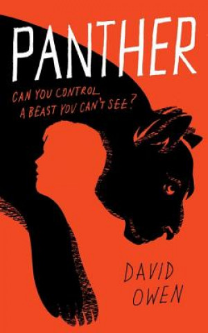 Kniha Panther David Owen