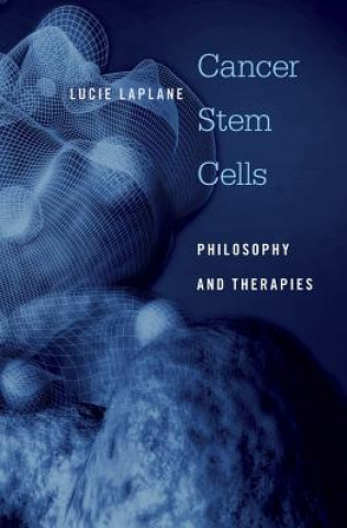 Buch Cancer Stem Cells Lucie Laplane