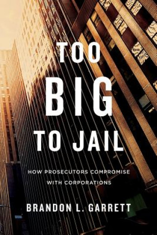Kniha Too Big to Jail Brandon L. Garrett.