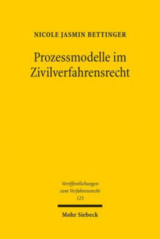 Kniha Prozessmodelle im Zivilverfahrensrecht Nicole Jasmin Bettinger