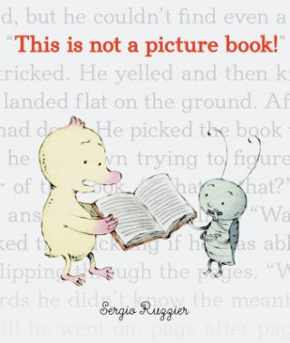 Book This Is Not a Picture Book Sergio Ruzzier