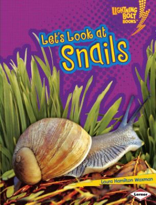 Książka Let's Look at Snails Laura Hamilton Waxman