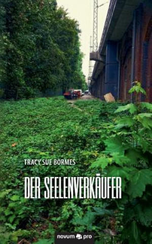 Kniha Der Seelenverkaufer Tracy Sue Bormes