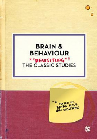 Buch Brain and Behaviour Bryan Kolb