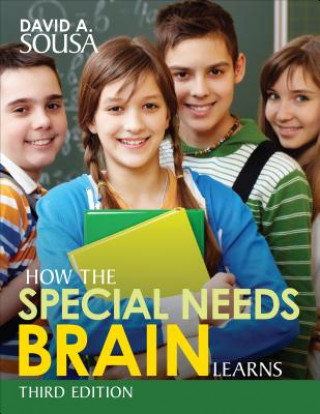 Könyv How the Special Needs Brain Learns David A Sousa