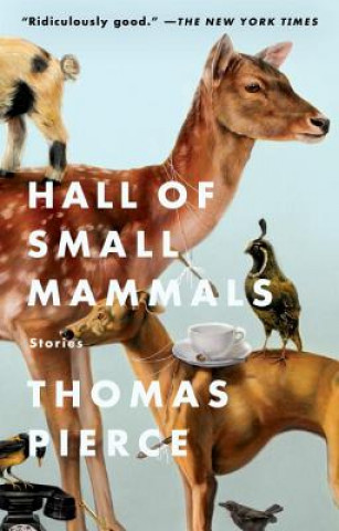 Könyv Hall of Small Mammals Thomas Pierce