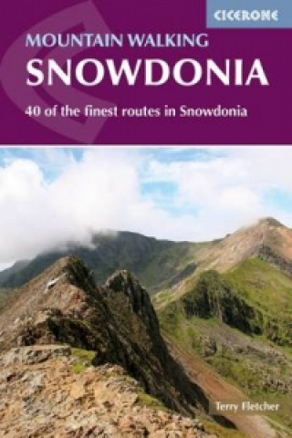 Könyv Mountain Walking in Snowdonia Terry Fletcher