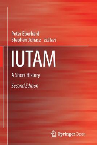 Libro IUTAM Peter Eberhard