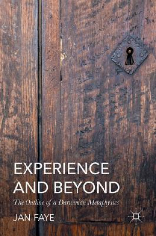 Kniha Experience and Beyond Jan Faye