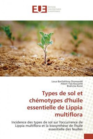 Kniha Types de Sol Et Chemotypes Dhuile Essentielle de Lippia Multiflora Barthelemy Diomande-L