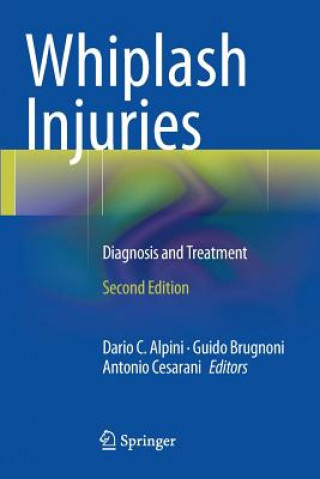 Könyv Whiplash Injuries Dario C. Alpini