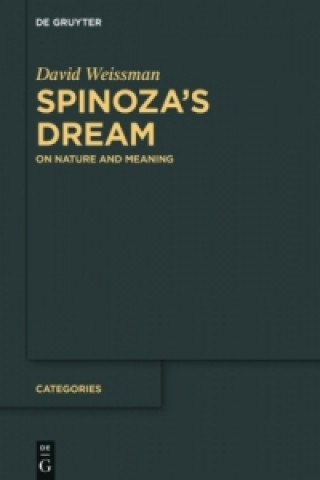 Könyv Spinoza's Dream David Weissman
