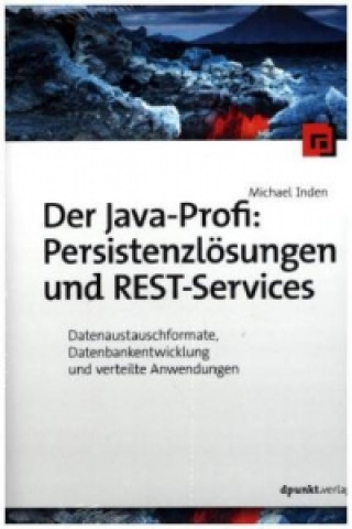 Könyv Der Java-Profi: Persistenzlösungen und REST-Services Michael Inden