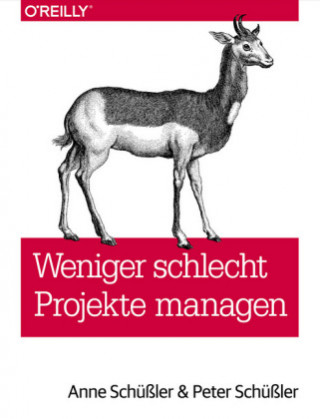 Kniha Weniger schlecht Projekte managen Anne Schüßler
