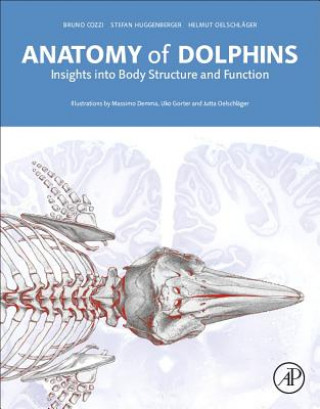 Kniha Anatomy of Dolphins Bruno Cozzi