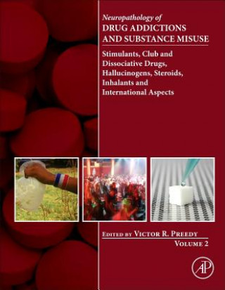 Kniha Neuropathology of Drug Addictions and Substance Misuse Volume 2 Victor Preedy