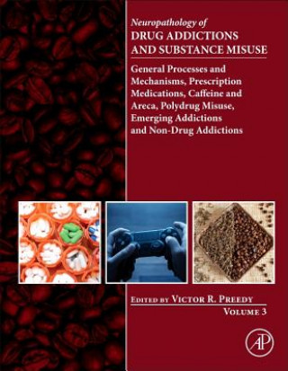 Kniha Neuropathology of Drug Addictions and Substance Misuse Volume 3 Victor Preedy