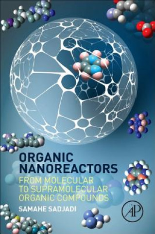 Kniha Organic Nanoreactors Samahe Sadjadi