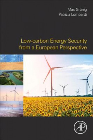 Carte Low-carbon Energy Security from a European Perspective Max Gr?nig