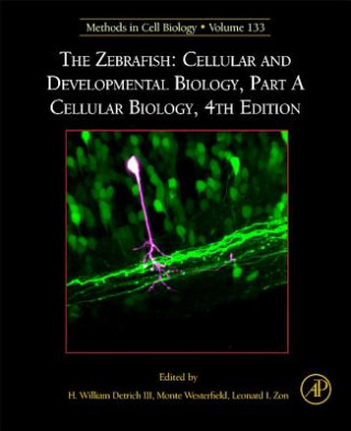 Книга Zebrafish: Cellular and Developmental Biology, Part A Cellular Biology Monte Westerfield