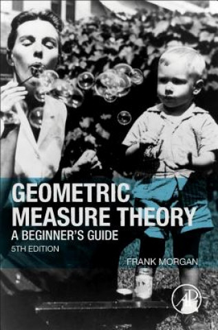 Książka Geometric Measure Theory Frank Morgan