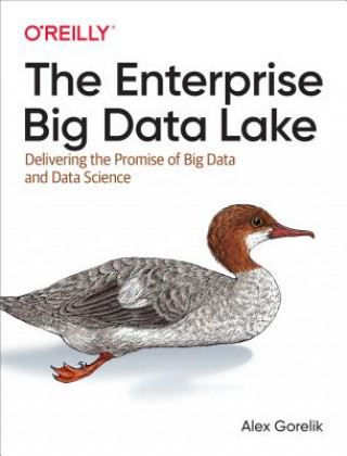 Kniha Enterprise Big Data Lake Alex Gorelik