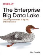 Carte Enterprise Big Data Lake Alex Gorelik