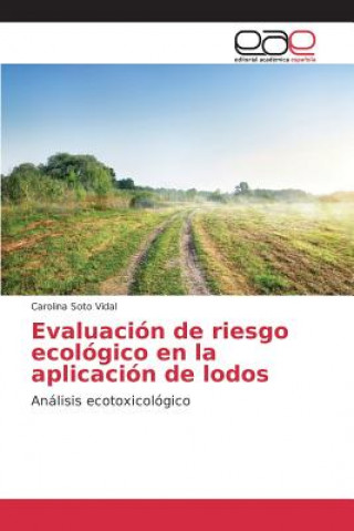 Könyv Evaluacion de riesgo ecologico en la aplicacion de lodos Soto Vidal Carolina
