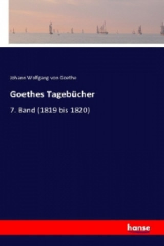 Könyv Goethes Tagebücher Johann Wolfgang von Goethe