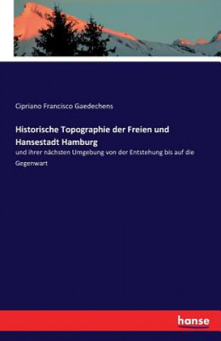 Carte Historische Topographie der Freien und Hansestadt Hamburg Cipriano Francisco Gaedechens