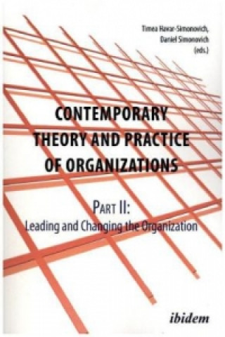 Könyv Contemporary Practice & Theory of Organizations Daniel Simonovich