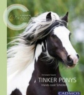Kniha Tinker Ponys Christiane Slawik