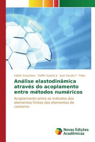 Könyv Analise elastodinamica atraves do acoplamento entre metodos numericos Goncalves Kleber