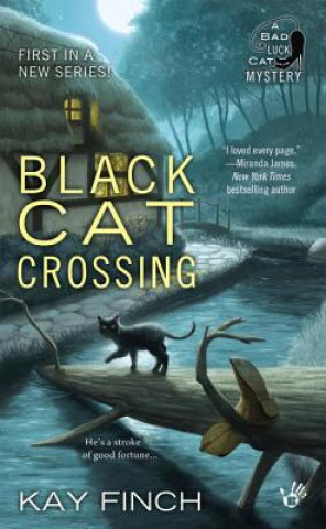 Könyv Black Cat Crossing Kay Finch