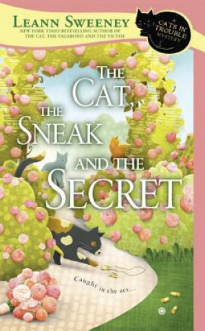Könyv Cat, the Sneak and the Secret Leann Sweeney