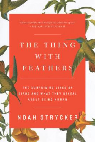 Carte Thing with Feathers Noah Strycker