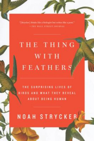 Kniha Thing with Feathers Noah Strycker