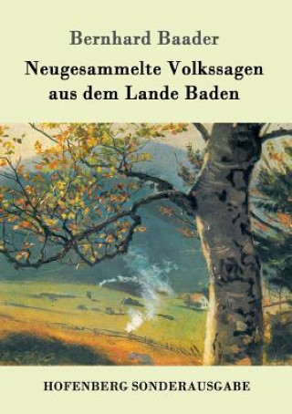 Livre Neugesammelte Volkssagen aus dem Lande Baden Bernhard Baader