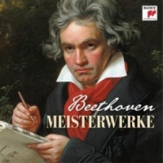 Audio Meisterwerke, 1 Audio-CD Various