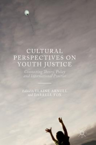 Kniha Cultural Perspectives on Youth Justice Elaine Arnull