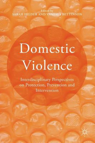 Knjiga Domestic Violence Sarah Hilder